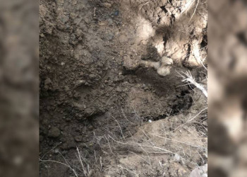 Ossada é encontrada enterrada em cova rasa na zona Norte de Teresina