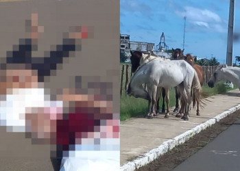 Homem morre após bater motocicleta contra animal em pista no interior do Piauí