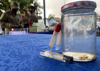 Sesapi encaminha aos 224 municípios do Piauí recomendações sobre controle do mosquito Aedes aegypti