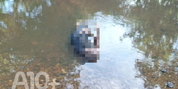 Homem é encontrado morto em córrego próximo à Barragem em União, no Piauí
