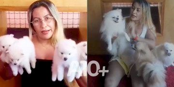 Polícia apura existência de 2º canil clandestino após Operação em Parnaíba, Piauí; vídeos mostram mulher vendendo animais