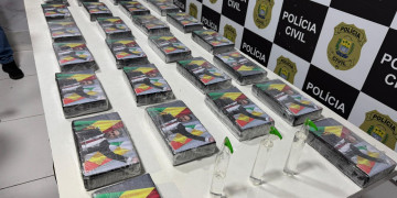 Secretaria de Segurança apreende R$ 3,5 milhões em drogas durante operação em Teresina