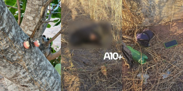 Homem sem identificação é encontrado morto em propriedade no Sul do Piauí; Polícia Civil investiga