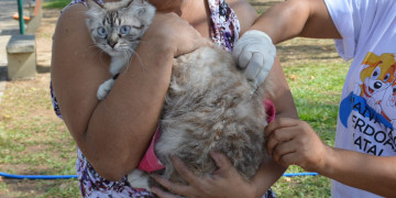 Secretaria de Saúde prorroga campanha de vacinação contra a raiva de cães e gatos no Piauí