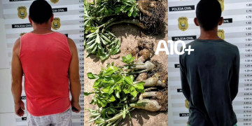 Polícia prende suspeitos de envolvimento em furto de rosas do deserto em loja ao Sul do Piauí; prejuízo de mais de R$ 5 mil