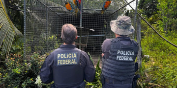 PF deflagra operação e mira organização criminosa acusada de tráfico de animais silvestres no Piauí e mais 4 estados