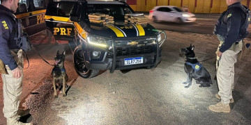 Adolescente é apreendida pela PRF com 36 tabletes de maconha dentro de ônibus em Teresina