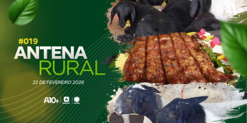 Antena Rural: criação de ovinos da raça Dorper, receita de leitão no forno de barro e muito mais; assista agora!