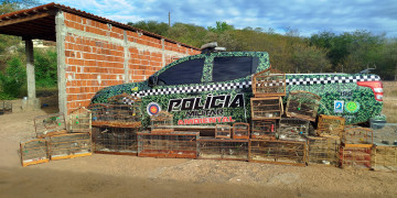 Polícia deflagra Operação 