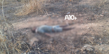 DHPP deflagra operação e prende trio suspeito de matar homem asfixiado e esfaqueado em Teresina