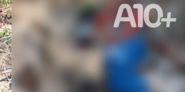 Corpo é de homem é encontrado em avançado estado de decomposição no Piauí; polícia investiga