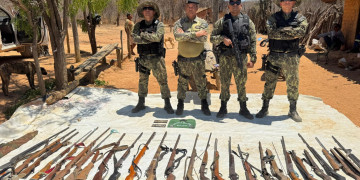 Polícia Ambiental do Piauí realiza mais de 380 operações e aplica R$ 112 mil em multas em 2025