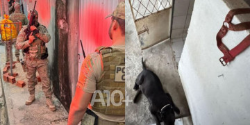 Polícia Civil deflagra operação e cumpre mandados de prisão contra falsos veterinários em Teresina