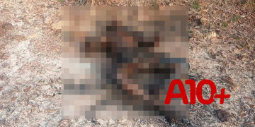 Corpo de homem é encontrado carbonizado em área de mata no interior do Piauí; Polícia investiga