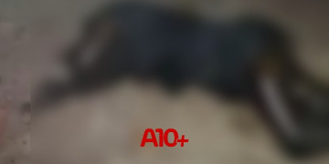 Corpo de mulher é encontrado em avançado quadro de decomposição em terreno na zona Sul de Teresina