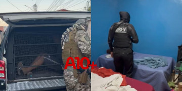 Polícia deflagra operação contra grupo criminoso suspeito de roubos a motoristas por aplicativo em Teresina