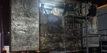 PRF apreende carga de madeira ilegal e anfetaminas escondidas em caminhão no Piauí; 2 homens autuados