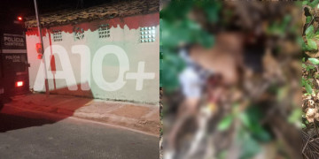 Vítimas de homicídio no litoral do Piauí já mantiveram relacionamento amoroso, diz delegado