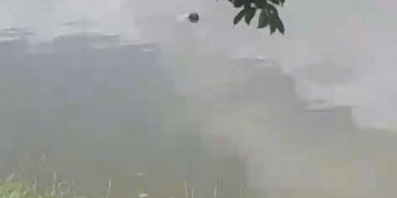 Corpo de homem é encontrado boiando no Parque Lagoas do Norte, em Teresina; polícia investigará morte