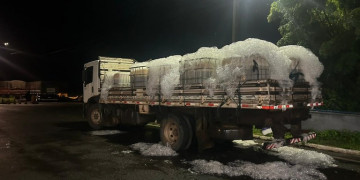 PRF apreende 1,5 tonelada de tilápia em contêiner usado para ácido sulfúrico no Piauí; carga avaliada em R$ 15 mil