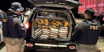 PRF apreende mais de 200 kg de cocaína e skunk em operação na BR 316, Piauí; motorista fugiu