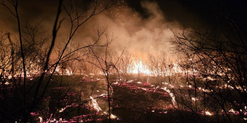 Brigadistas controlam incêndio de grandes proporções em Pimenteiras após quatro dias de combate
