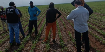 Operação resgata mais de 20 trabalhadores em situação análoga à escravidão em fazenda no Sul do Piauí