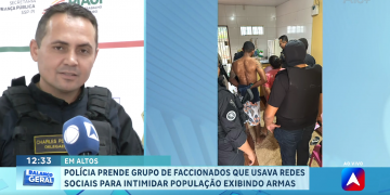 Armas apreendidas, prisões e 