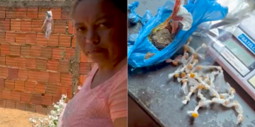 Mulher é presa por tráfico em residência no Piauí; alega que drogas eram do companheiro, mas polícia aponta atuação conjunta do casal