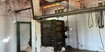 Após constatar irregularidades graves, Justiça determina interdição imediata de matadouro público no interior do Piauí