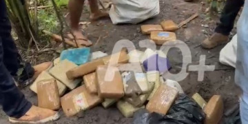 Polícia apreende cerca de 100 kg de drogas enterradas em sítio no Maranhão que seriam distribuídas para o Piauí