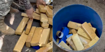 Operação em sítio que armazenava drogas no Maranhão continua e polícia encontra mais entorpecentes; mais de meia tonelada apreendida