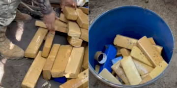 Polícia finaliza operação em sítio do MA que tinha mais de 1 tonelada de drogas; os entorpecentes seriam enviados ao Piauí