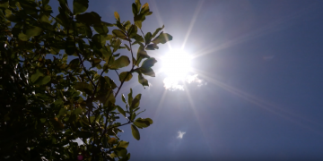 Calor intenso deve continuar por mais três dias no Piauí, com temperaturas acima dos 40°C
