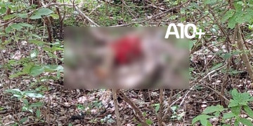 Corpo de homem sem identificação é encontrado em área de mata no litoral do Piauí