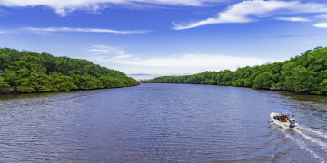 Justiça suspende licença de usina de hidrogênio verde no Piauí; planta industrial captaria 91 milhões de litros de água do Rio Parnaíba por dia