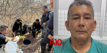 Apreensão de 300 kg de drogas do Comando Vermelho: defesa diz que homem preso seria lavrador e teria alugado terreno no Piauí; veja detalhes