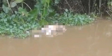 Corpo é encontrado boiando embaixo de nova ponte em construção em Teresina; vítima não foi identificada e polícia investiga