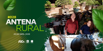 Antena Rural 26.04: criação de caprinos, Arnaldo Ribeiro e Beatriz Ribas no mercado e muito mais