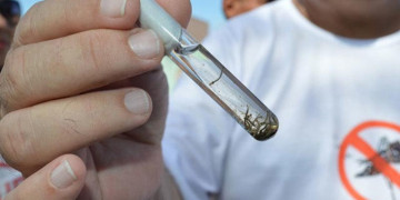 Prefeitura institui comitê técnico para combater casos de dengue, chikungunya e zika em Teresina