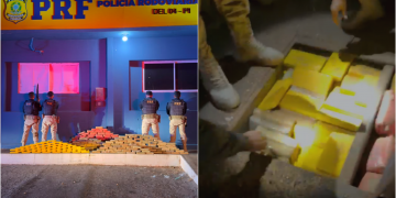 PRF apreende mais de 250kg de drogas e prende motorista no Piauí; receberia R$ 10 mil pelo transporte