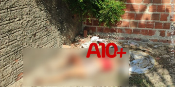 Mulher assassinada dentro de residência no litoral do Piauí não seria o alvo dos atiradores, diz polícia