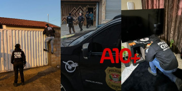 Polícia deflagra operação contra estelionatários que aplicavam golpes com falsos anúncios de hospedagens no Piauí