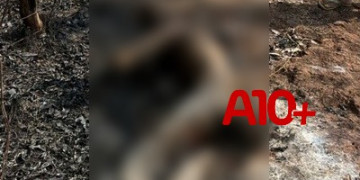 Corpo de homem é encontrado carbonizado em área de mata na zona rural de Timon, Maranhão