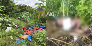 Corpo com pescoço quebrado, queimaduras e sinais de espancamento é encontrado em matagal na zona Sul de Teresina