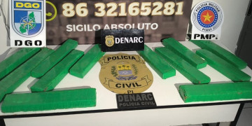 Homem é preso em Teresina enquanto distribuía drogas para bocas de fumo; 15 kg de maconha apreendidos