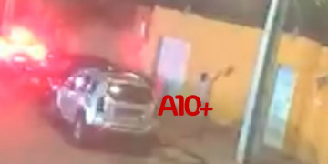 Mulher denuncia ex-companheira por agressão e arremessar cadela por cima de muro em Teresina; VÍDEO
