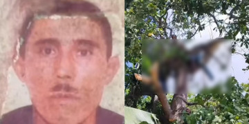 Homem é atingido por galho e morre enquanto fazia poda de árvore no litoral do Piauí