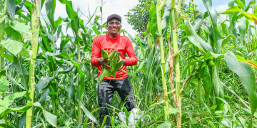 Garantia-Safra 2024/2025 vai beneficiar agricultores de seis municípios do Piauí neste mês de abril