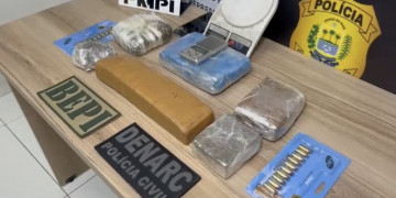Polícia apreende 5kg de supermaconha e prende homem em flagrante na zona Sul de Teresina